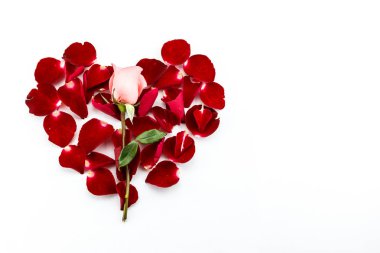 beyaz arka plan üzerinde kalp şekli oluşturan pembe gül ve kırmızı gül yaprakları