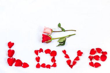 Kırmızı ve pembe gül ve Word Love Beyaz Arka Plan Sevgililer Günü için Mükemmel İzole Kırmızı Güller ile Spelled