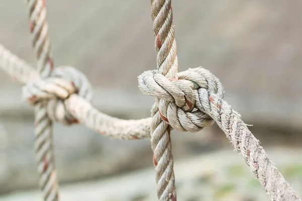 Old rope with a Tied Knot — Stock Photo, Image