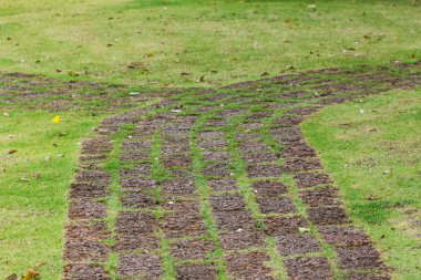 Yeşil bahçede tuğla yürüyüş yolu