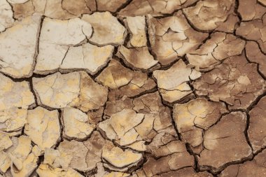 Kurak mevsimde kil zemini çatladı.