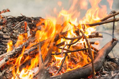 Yaz aylarında düşen yaprakların ve kuruyan ağacın şenlik ateşi