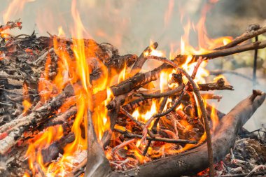 Yaz aylarında düşen yaprakların ve kuruyan ağacın şenlik ateşi