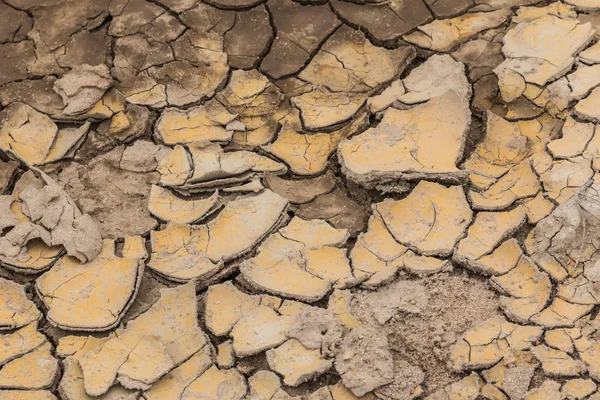 Kurak mevsimde kil zemini çatladı. 