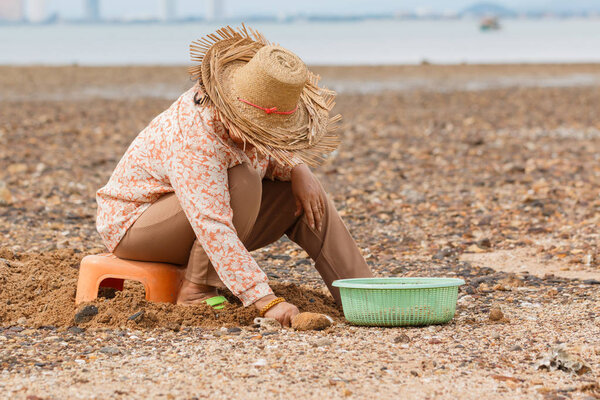 Women looking for sea shells 