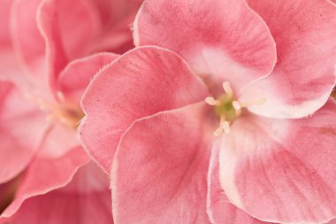 doku suni pembe çiçek desen yaprağı