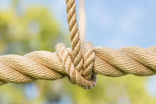 Rope Tied Knot Sky Background — Stock Photo, Image