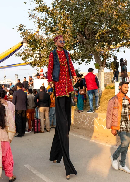 Surajkund Craft Fair Volkskunst Indiase Kunstenaarsstraat — Stockfoto