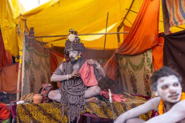 Prayagraj, Uttar Pradesh, Hindistan - 14 Ocak 2025: Mahakumbh, Kutsal erkek naga sadhu baba 'nın Sangam' daki kutsal nehir kenevirine ibadet etmek için Pagraj 'da maha kumbh mela' ya katılan portresi.
