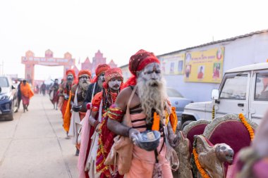 Prayagraj, Uttar Pradesh, Hindistan - 14 Ocak 2025: Mahakumbh, Mahakumbh, kutsal erkek naga sadhu baba grubu, Sangam 'daki kutsal nehir kenevirine ibadet etmek için Pagraj' da maha kumbh mela 'ya katılıyor..