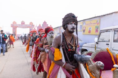 Prayagraj, Uttar Pradesh, Hindistan - 14 Ocak 2025: Mahakumbh, Mahakumbh, kutsal erkek naga sadhu baba grubu, Sangam 'daki kutsal nehir kenevirine ibadet etmek için Pagraj' da maha kumbh mela 'ya katılıyor..