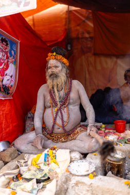Prayagraj, Uttar Pradesh, Hindistan - 14 Ocak 2025: Mahakumbh, Kutsal erkek naga sadhu baba 'nın Sangam' daki kutsal nehir kenevirine ibadet etmek için Pagraj 'da maha kumbh mela' ya katılan portresi.