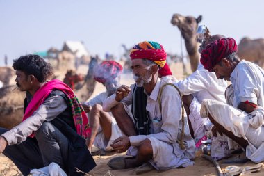 Puşkar, Rajasthan, Hindistan - 10 Kasım 2024: Geleneksel beyaz giysili rajasthani erkek portresi çöl panayırında renkli türbanlı deve fuarı sırasında develeri takas etmek için.