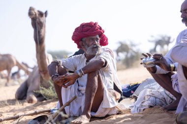 Puşkar, Rajasthan, Hindistan - 10 Kasım 2024: Geleneksel beyaz giysili rajasthani erkek portresi çöl panayırında renkli türbanlı deve fuarı sırasında develeri takas etmek için.