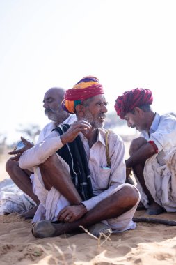 Puşkar, Rajasthan, Hindistan - 10 Kasım 2024: Geleneksel beyaz giysili rajasthani erkek portresi çöl panayırında renkli türbanlı deve fuarı sırasında develeri takas etmek için.