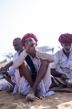 Puşkar, Rajasthan, Hindistan - 10 Kasım 2024: Geleneksel beyaz giysili rajasthani erkek portresi çöl panayırında renkli türbanlı deve fuarı sırasında develeri takas etmek için.