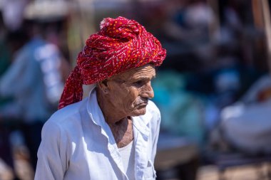 Puşkar, Rajasthan, Hindistan - 10 Kasım 2024: Geleneksel beyaz giysili rajasthani erkek portresi çöl panayırında renkli türbanlı deve fuarı sırasında develeri takas etmek için.