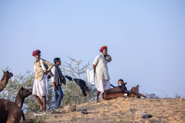 Pushkar, Rajasthan, India - November 10, 2024: Portrait of a rajasthani male in traditional white clothes with colourful turban at desert fairground during the pushkar camel fair for trading camels.