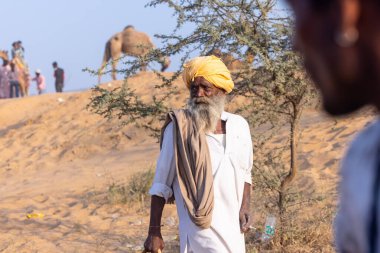 Pushkar, Rajasthan, India - November 10, 2024: Portrait of a rajasthani male in traditional white clothes with colourful turban at desert fairground during the pushkar camel fair for trading camels.