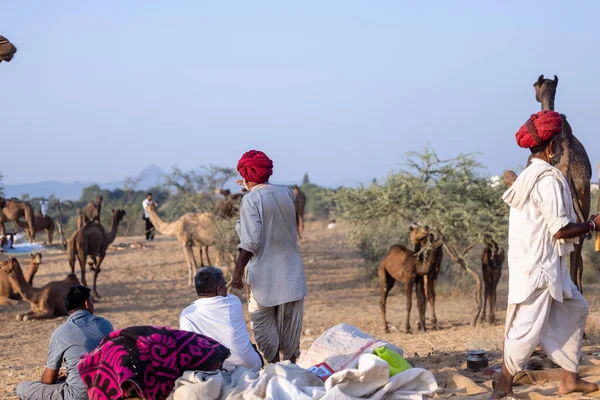 Puşkar, Rajasthan, Hindistan - 10 Kasım 2024: Geleneksel giysili bir Rajasthani insanının portresi.