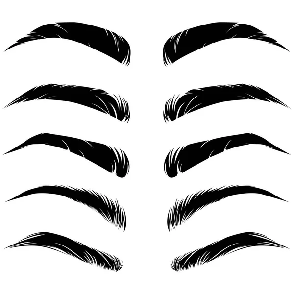 Cejas masculinas y femeninas — Vector de stock