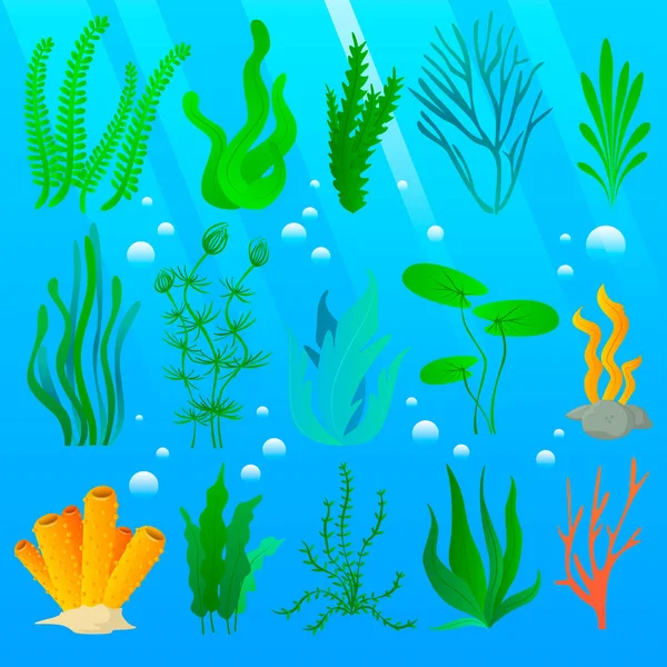 Plantes marines et aquarium — Image vectorielle