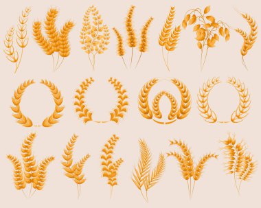 Buğday kulağı simgeleri ayarlandı