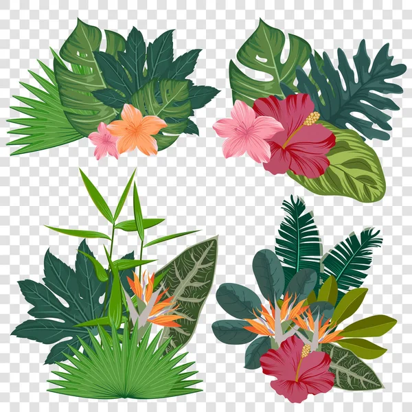 Collection realistic tropical flowers set — Stock Vector