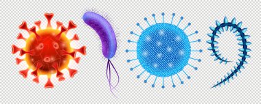 Gerçekçi 3d bakteriler ve virüsler 