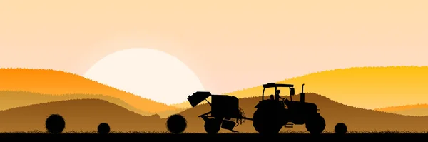 日の出の朝の麦畑 — ストックベクタ