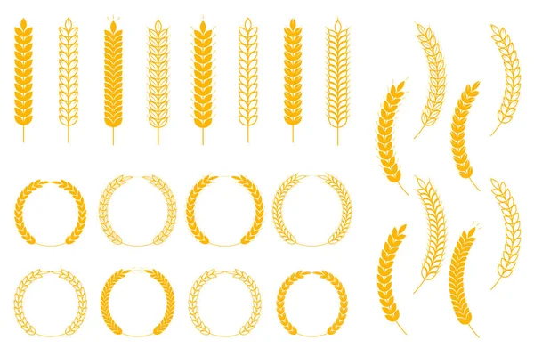 白を基調とした小麦のアイコンとロゴのセット — ストックベクタ