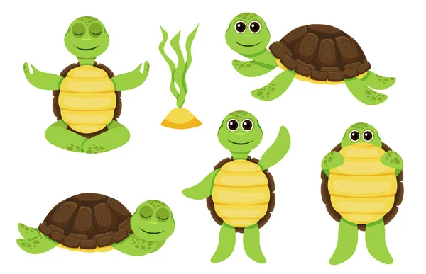 Characters funny turtle baby characters set — Stock Vector