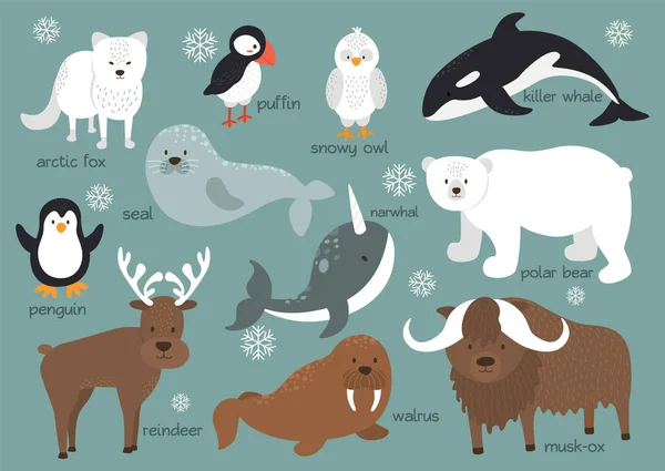 Arctic animals background set — Stock Vector