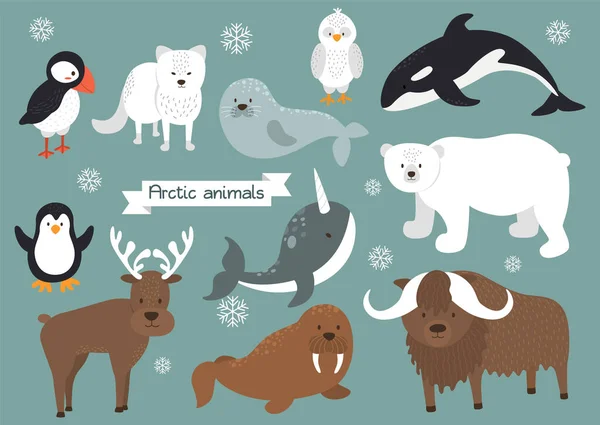 Arctic animals set — Stock Vector
