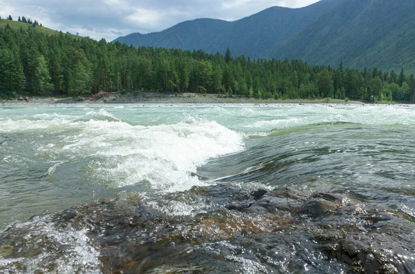 Bouřlivá Řeka Katun Rychlý Vír Altai Sibiř — Stock fotografie