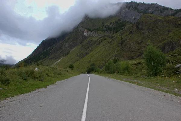 Katun Nehri 'nin yanındaki yol. Altai Dağı.