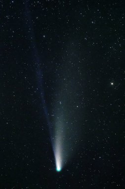 Koyu yıldızlı gökyüzünde Neowise Kuyruklu Yıldızı