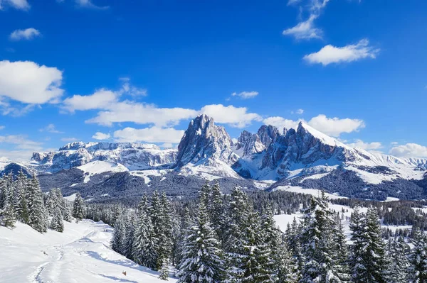 Utsikt Över Italienska Dolomiter Solig Dag — Stockfoto