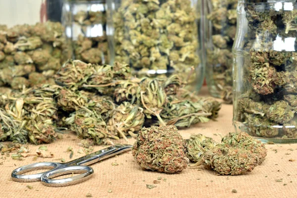 Trimmen Van Cannabis Toppen Slaan Een Glazen Potten — Stockfoto