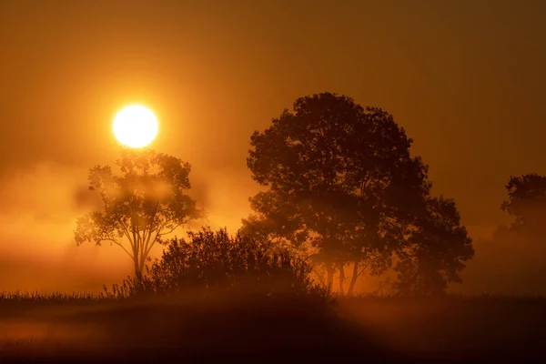 初夏の朝 田園風景の上に昇る太陽 — ストック写真