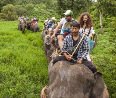 Chiang Mai (Tayland) - 11 Haziran 2017: Chiang Ma sürme turist fil