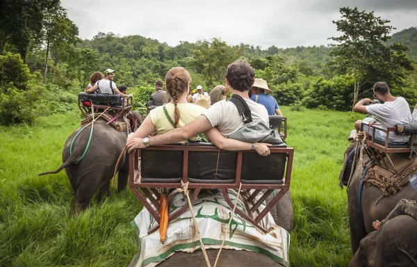 チェンマイ 2017 チェンマイ馬に乗って観光客象 ストックフォト