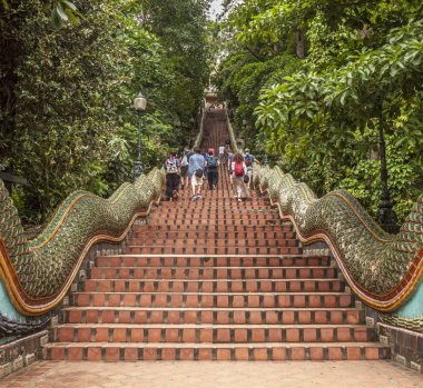 Tapınak Naga merdiven Doi Suthep Tapınağı ile bazı turizm