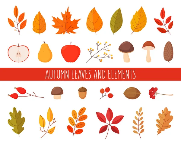 Ensemble de feuilles et d'éléments d'automne. Simple dessin animé style plat. — Image vectorielle