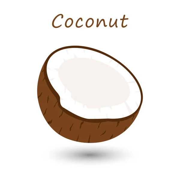 Half Kokosnoot Witte Achtergrond Vectortropische Vruchten — Stockvector