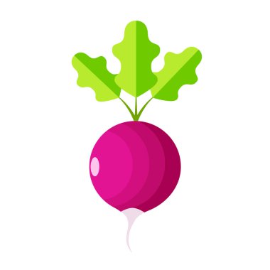 Beyaz arka planda turp. Düz biçimli vektör illüstrasyonu.