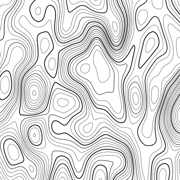 Mapa Topográfico Sobre Fundo Branco Mapa Grelha Vetorial —  Vetores de Stock