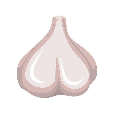 Beyaz arka planda tam sarımsaklı ampul. Sağlıklı yiyecekler. Vektör illüstrasyonu.