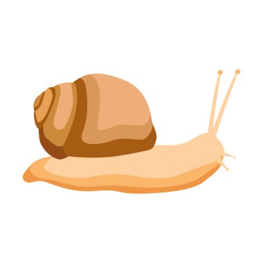 Beyaz arka planda izole edilmiş üzüm salyangozu. Düz biçimli vektör bahçe salyangozu.