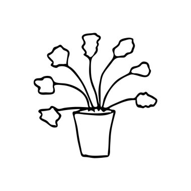 Ev bitkisinin çizimi. Tasarım için vektör ana hatlarını izole eder. Doodle tarzı. 